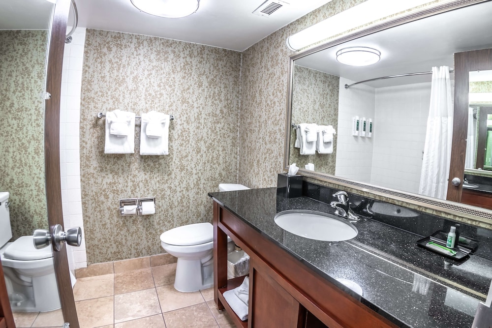 Standard Room, 2 Queen Beds, Refrigerator & Microwave, City View (Larger Room) photo 3