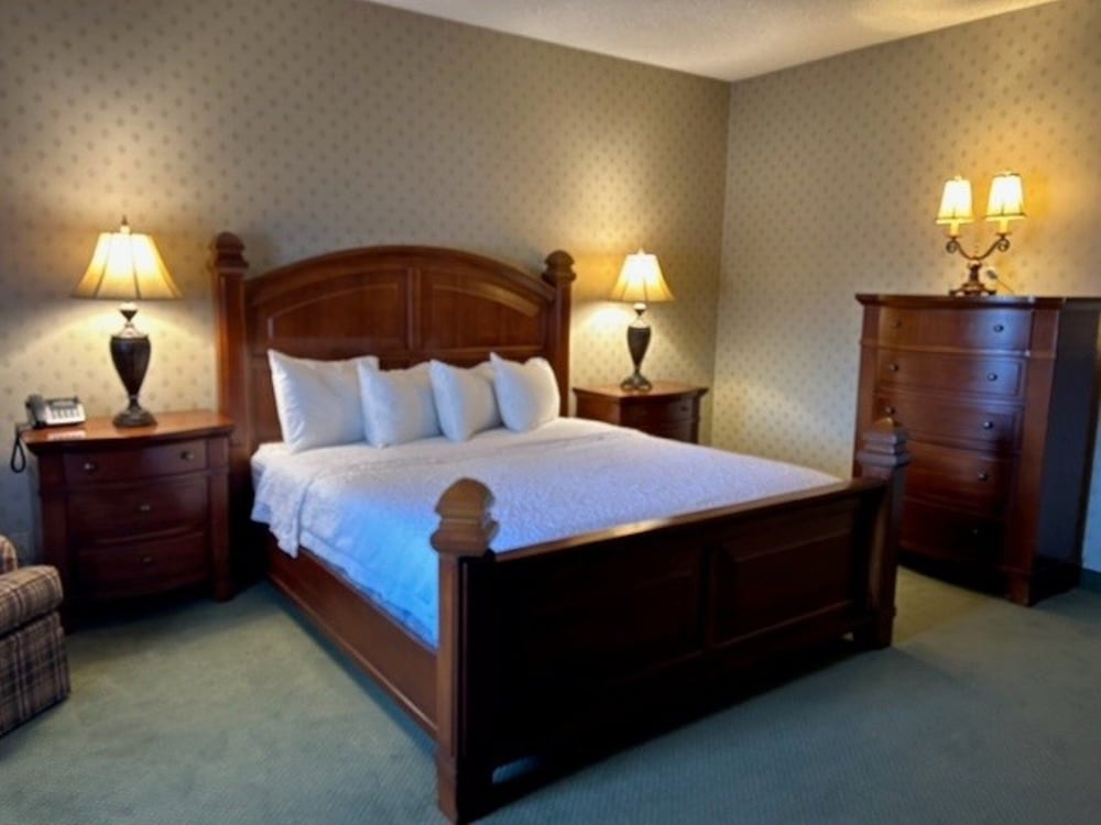 Suite, 1 Bedroom - Photo 3