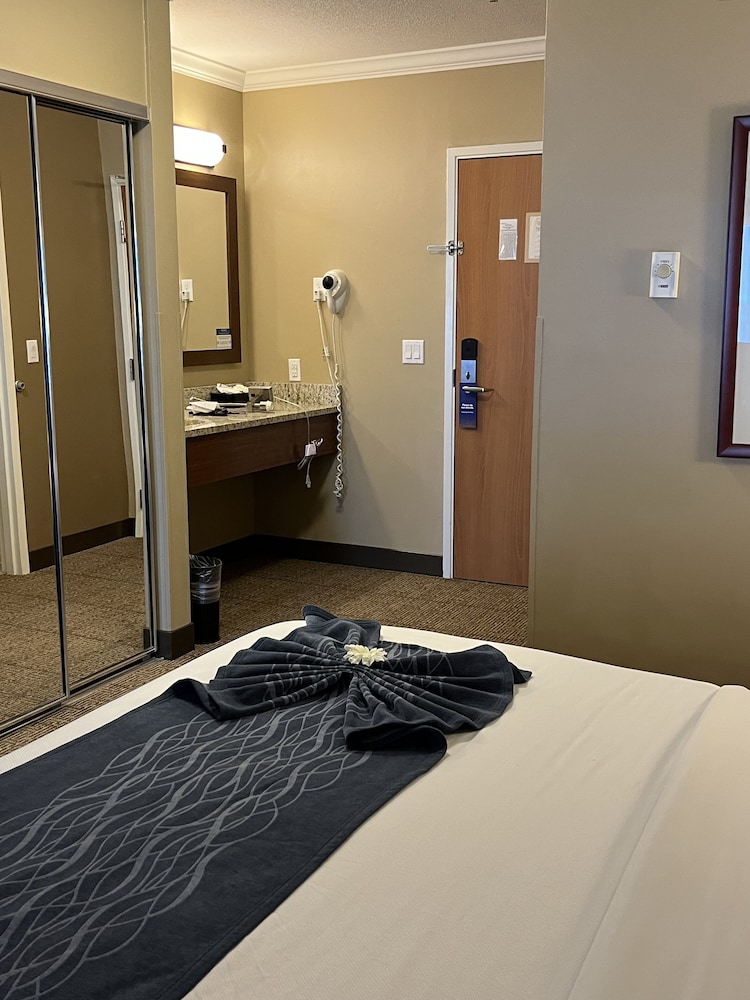 Suite, 1 King Bed, Non Smoking - Photo 8