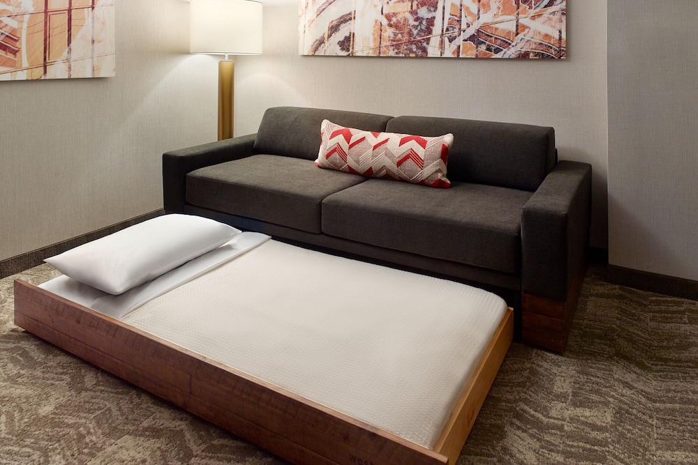 Studio Suite, Multiple Beds - Photo 4