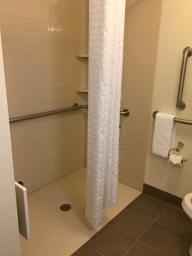 Studio Suite, 1 Queen Bed, Roll-in Shower (Roll-In Shower)