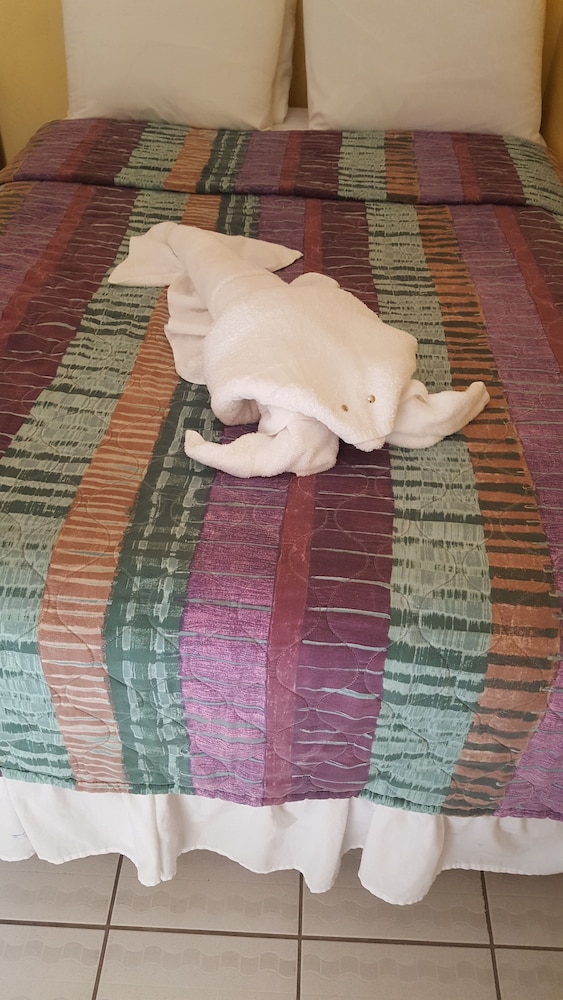 Comfort Room photo 3