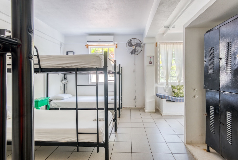 Bed In 4-Bed Dormitory Room photo 2
