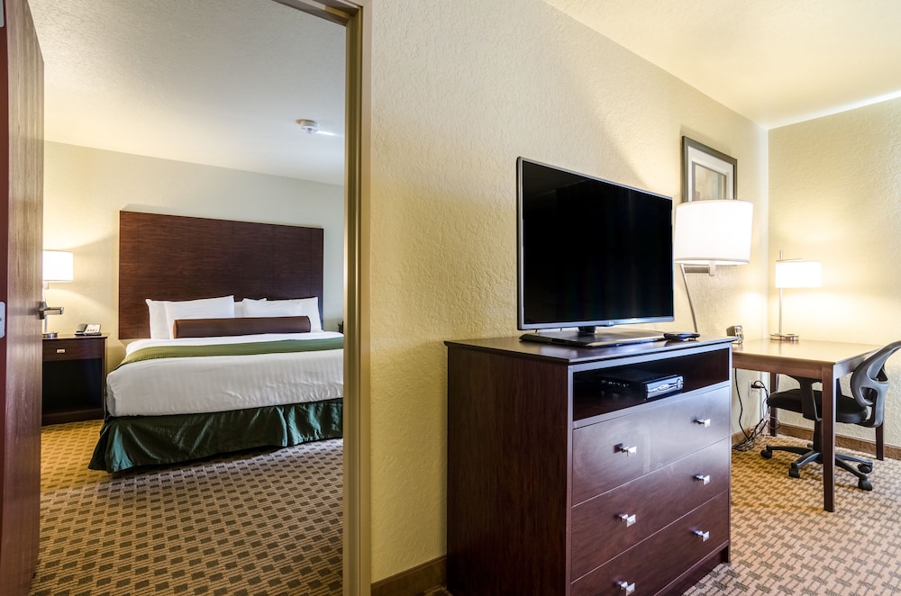 Suite, King Bed with Sofa Bed, Accessible Roll in Shower, Non Smoking photo 1