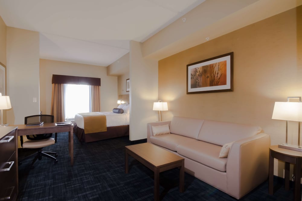 Suite, 1 King Bed, Non Smoking, Refrigerator & Microwave (with Sofabed)
