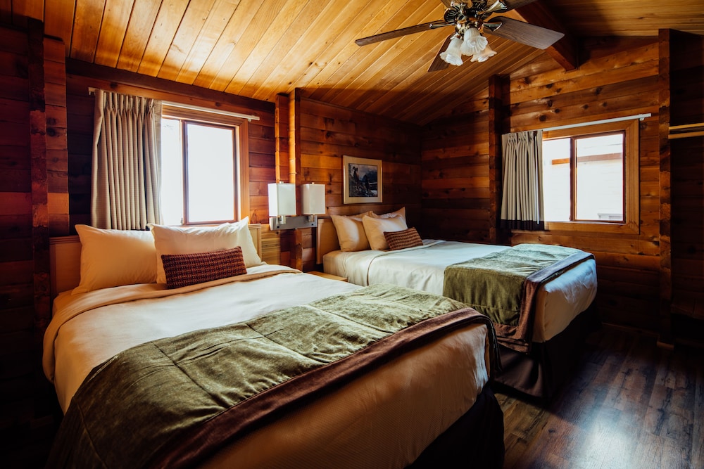 Standard Cabin, 2 Double Beds photo 1