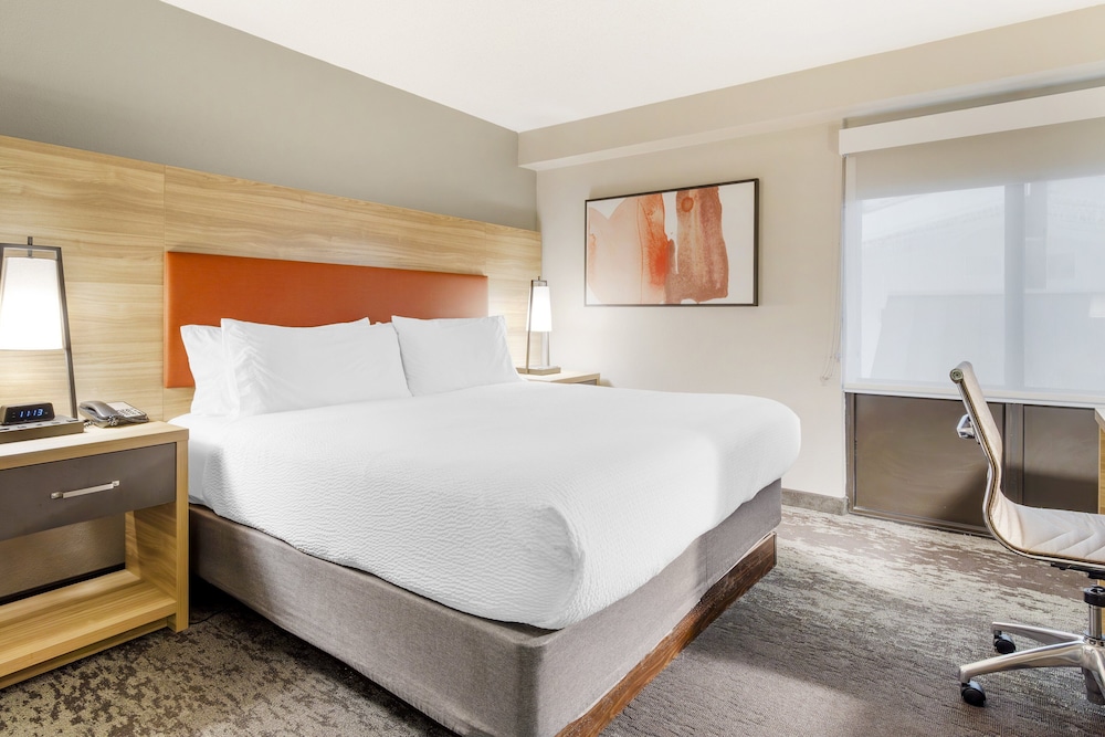 Studio Suite, 1 King Bed photo 2