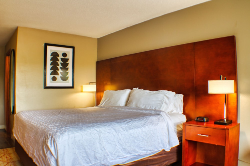 Standard Room, 1 King Bed, Non Smoking, Refrigerator & Microwave (With Sofabed) - Photo 3
