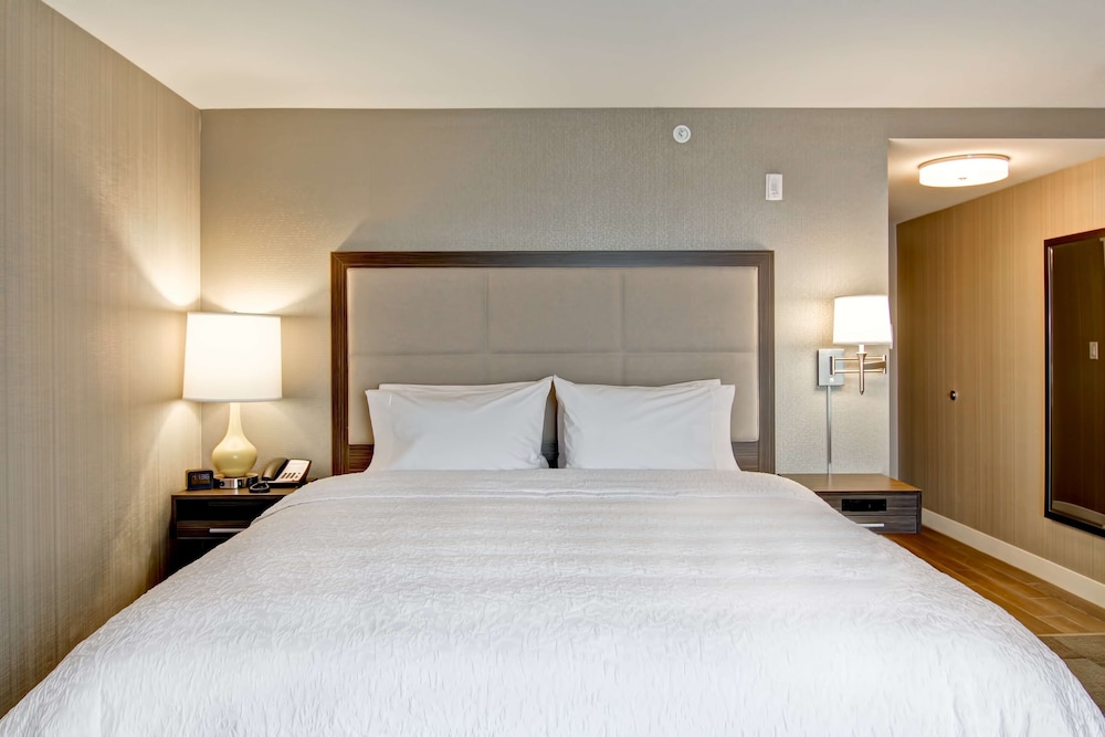 Room, 1 King Bed, Refrigerator & Microwave