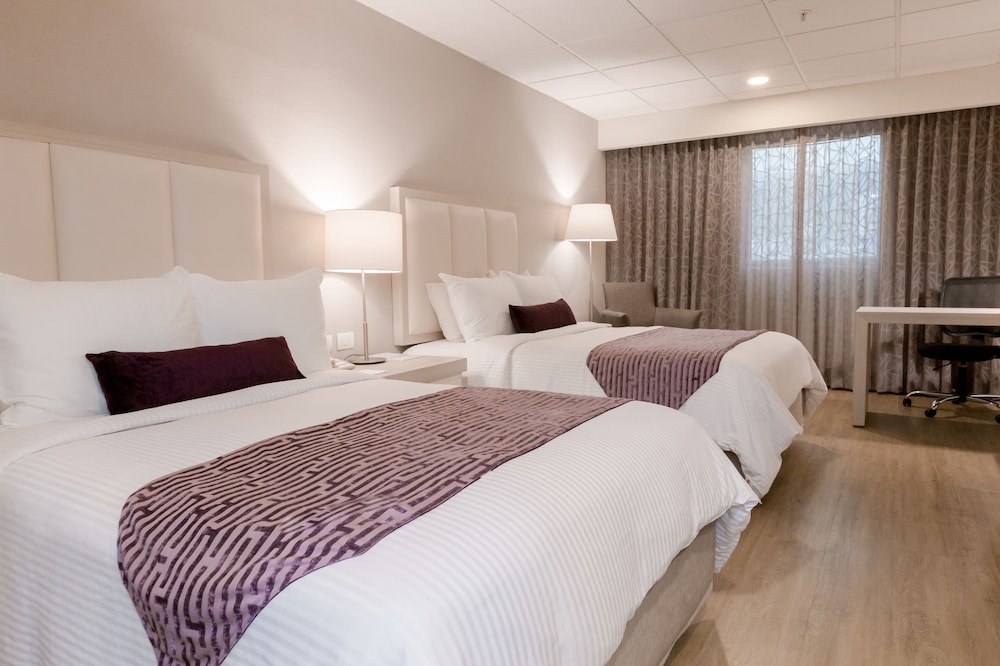 Executive Double Room - Photo 2