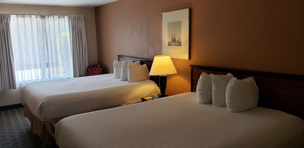 Single Room, 2 Queen Beds, Accessible - Photo 4
