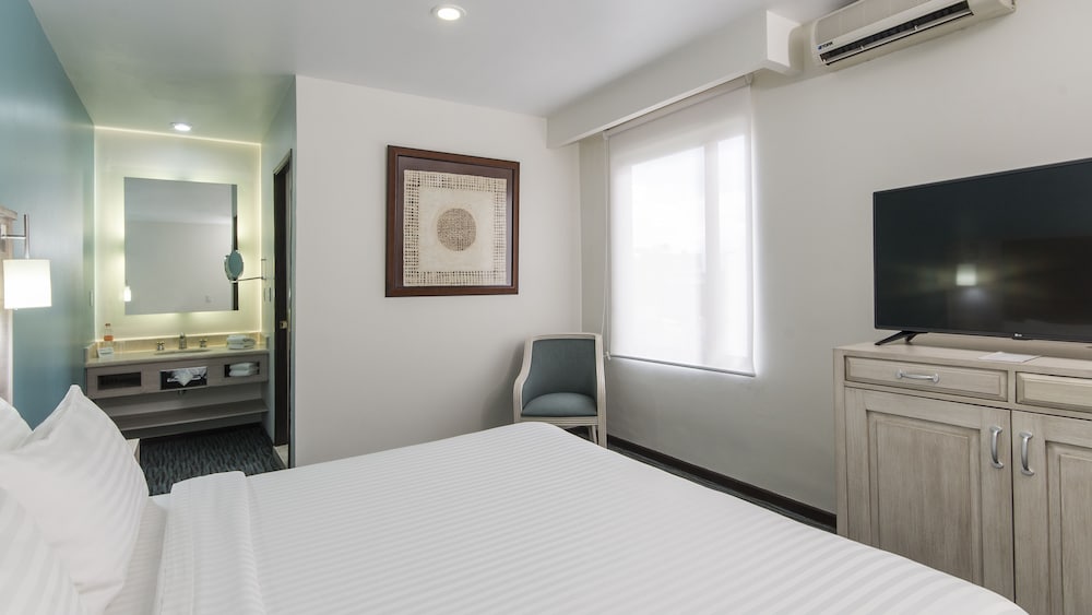 Suite, 1 King Bed - Photo 7