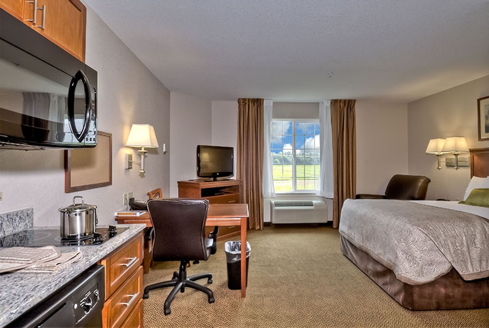 Suite, 1 Bedroom - Photo 2