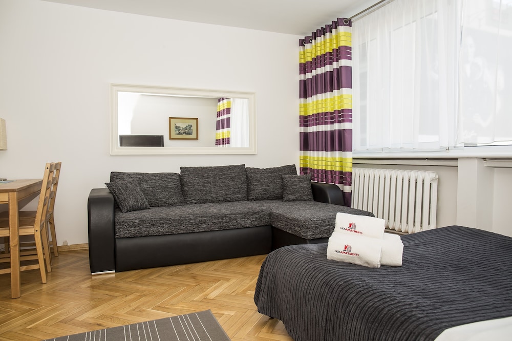 Superior Studio (with sofa bed) — the supplier's photographs — photo 4