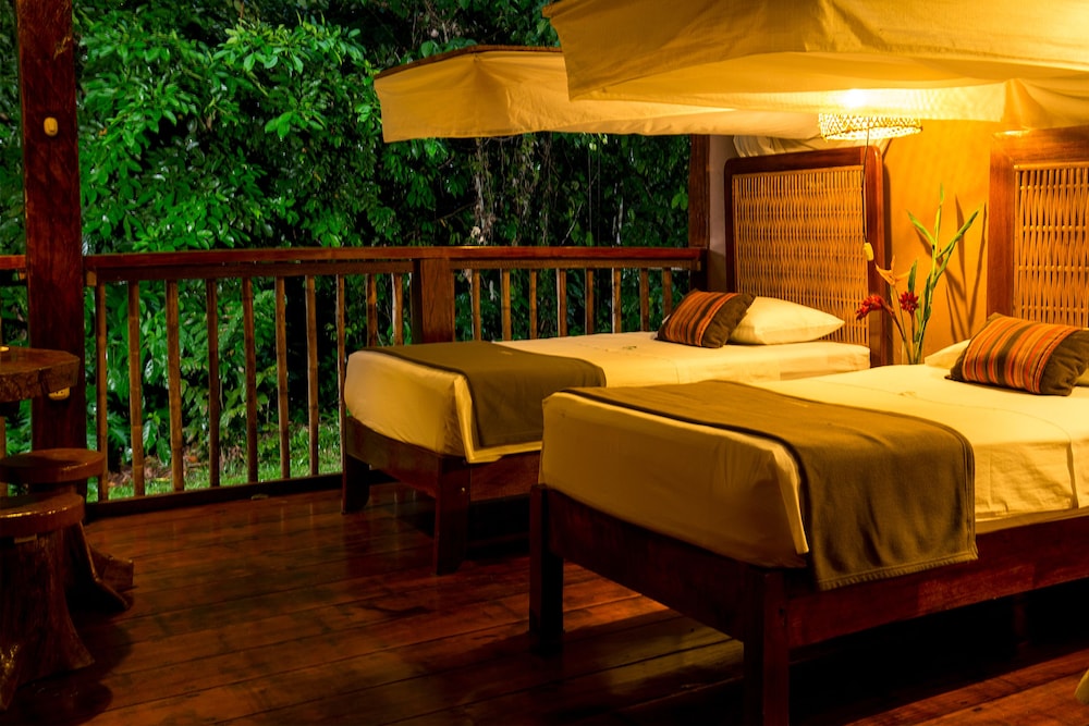 Rainforest Comfort Twin Room photo 1