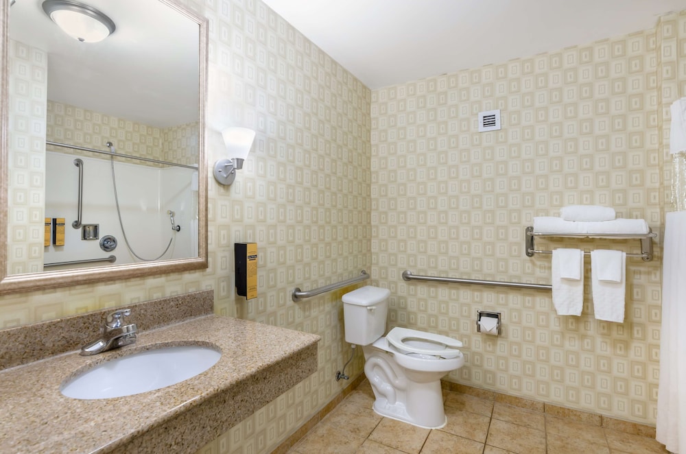 Standard Room, 1 King Bed, Accessible, Non Smoking - Photo 3