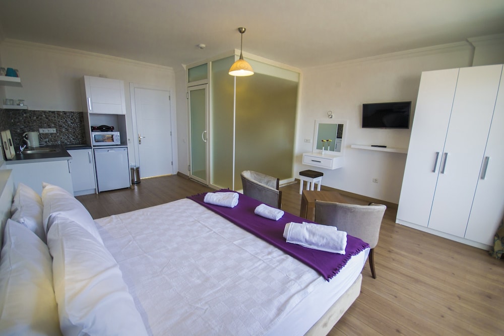 Deluxe Double or Twin Room photo 1