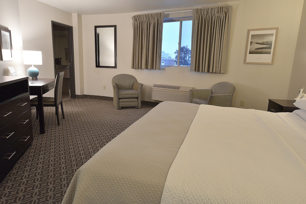 Executive Room, 1 King Bed, Refrigerator & Microwave photo 3