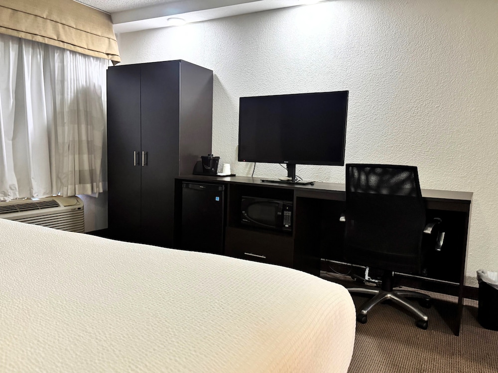 Room, 1 King Bed, Non Smoking photo 2