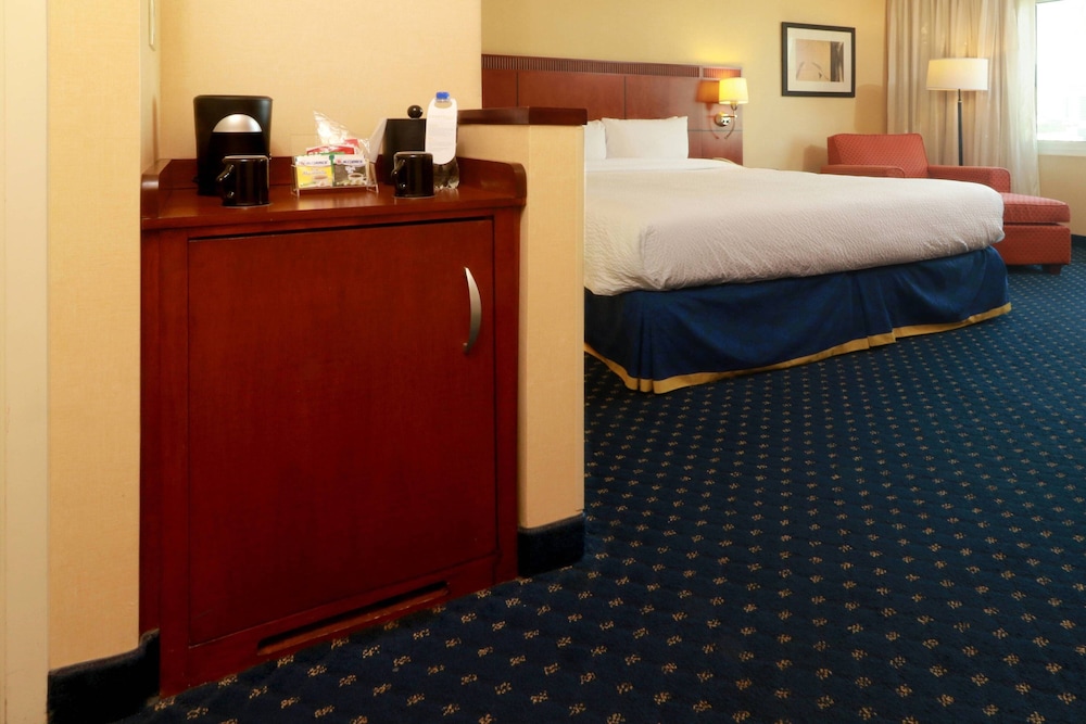 Suite, 1 Bedroom - Photo 1