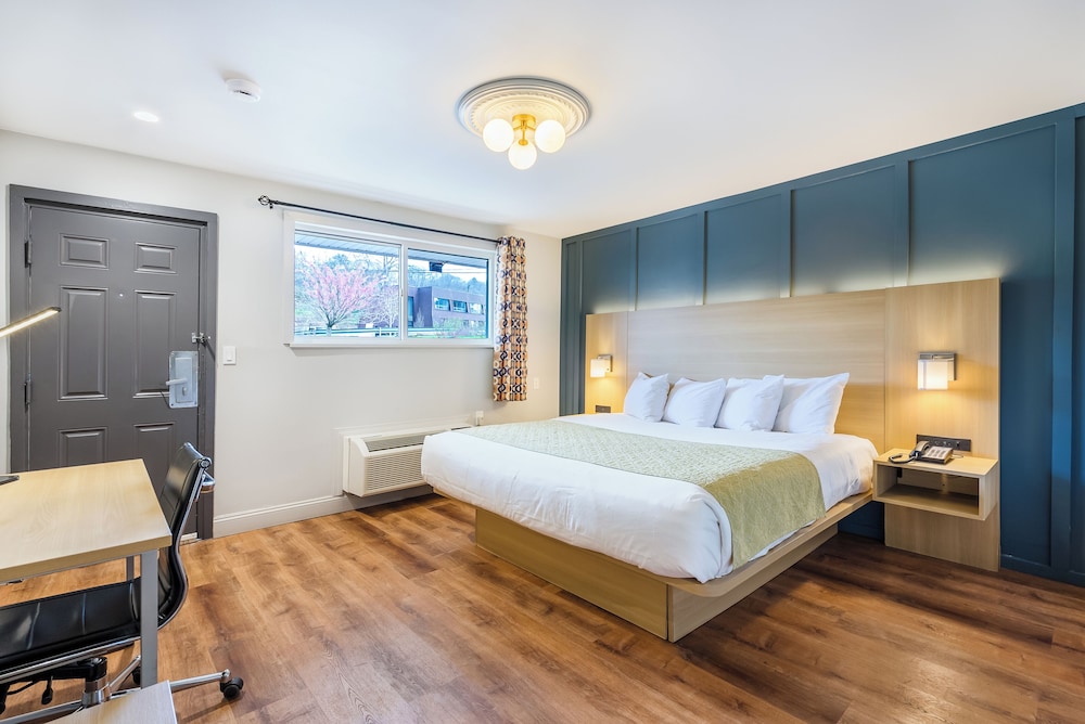 Standard Room, 1 King Bed photo 1