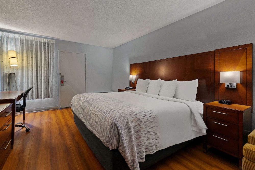 Room, 1 King Bed, Accessible, Non Smoking (Roll-In Shower) photo 3