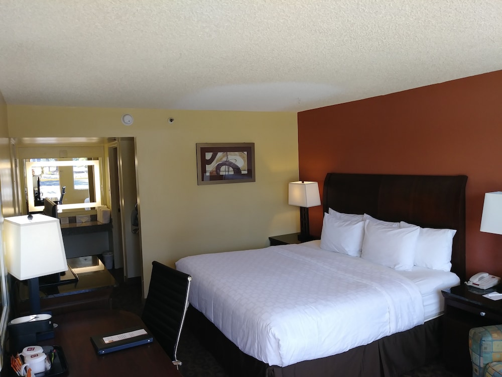 Room, 1 King Bed, Non Smoking - Photo 2