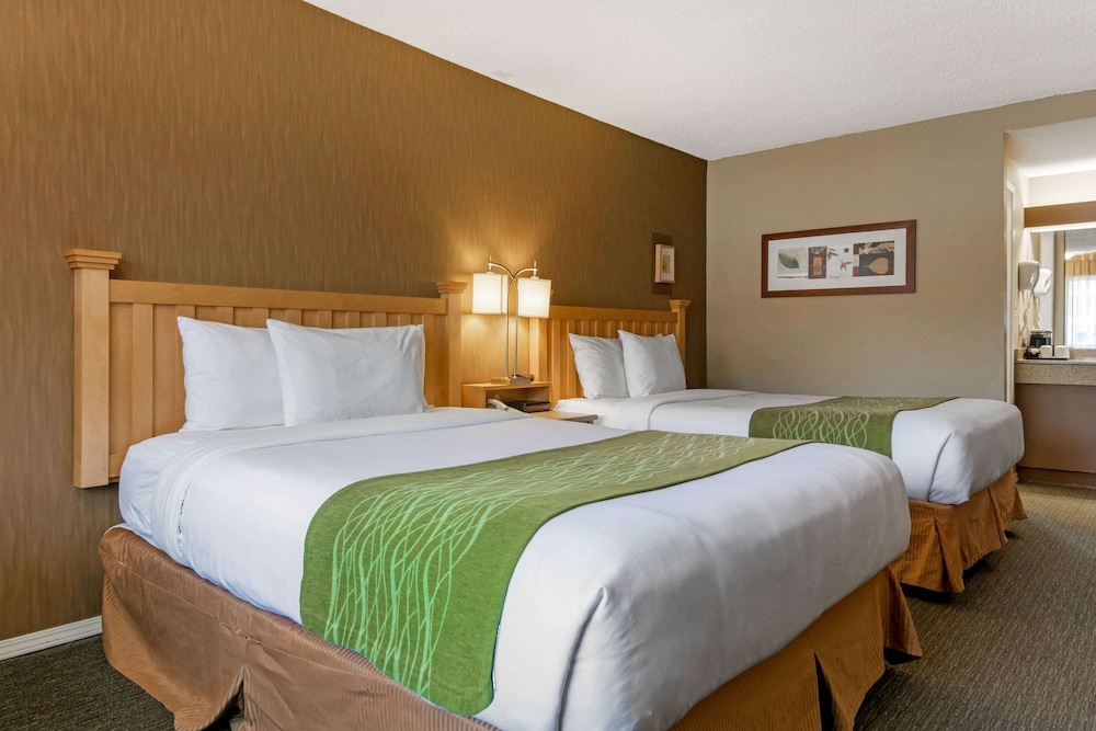 Deluxe Room, 2 Queen Beds, Non Smoking - Photo 4