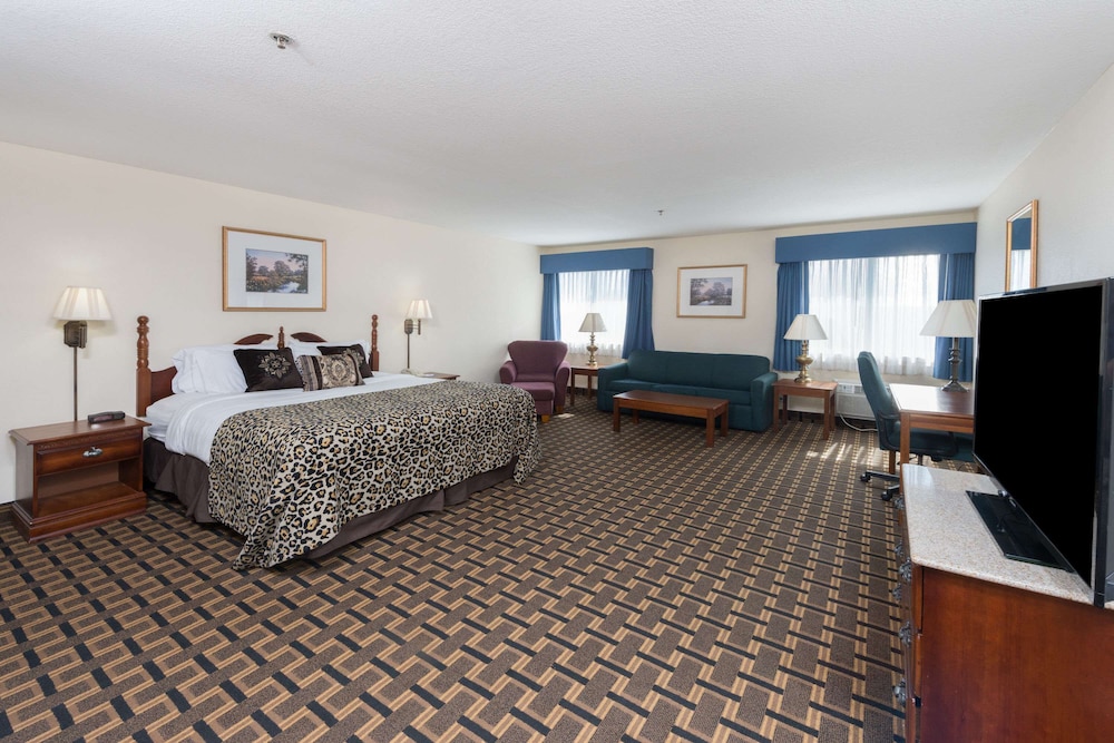 Studio Suite, 1 King Bed, Non Smoking photo 1