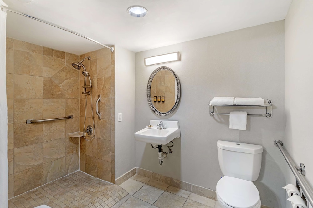 Standard Room, 1 King Bed, Accessible, Refrigerator & Microwave - Photo 4
