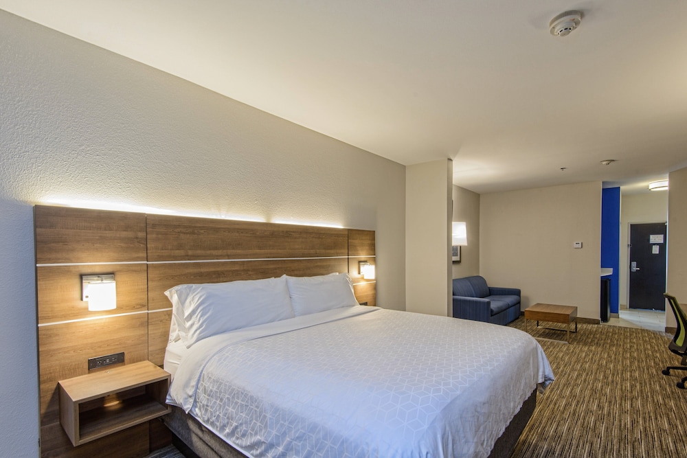 Suite, 1 King Bed - Photo 1