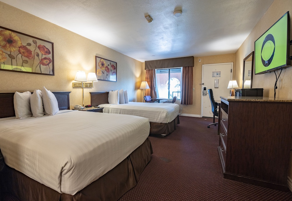 Standard Double Room, 2 Double Beds photo 1