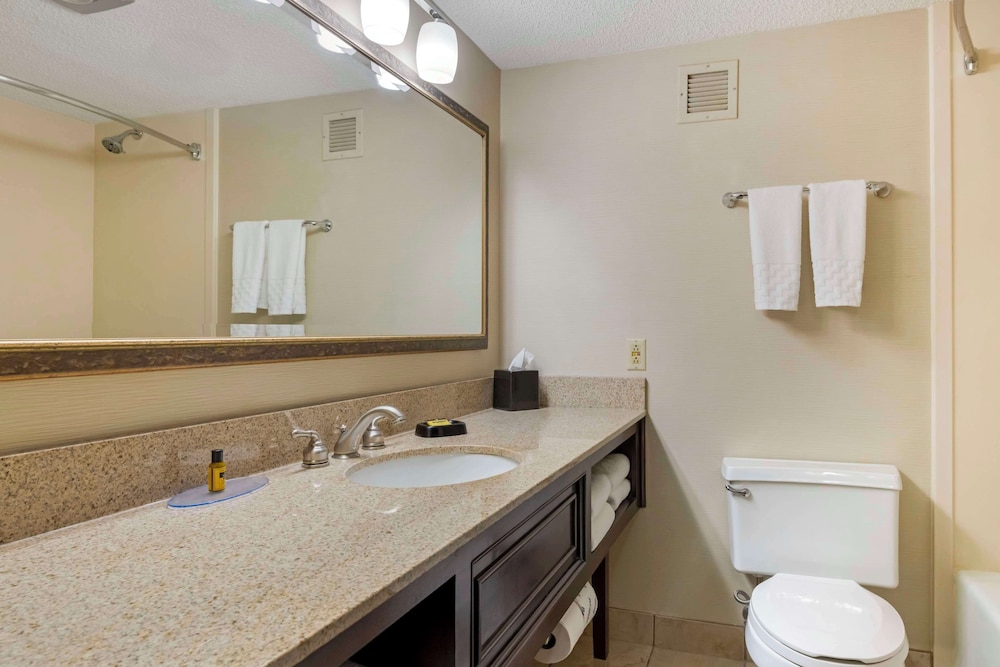 Suite, 1 King Bed, Non Smoking, Refrigerator & Microwave (with Sofabed) - Photo 4