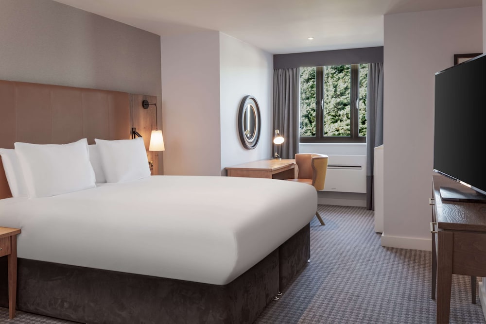 Deluxe Room, 1 King Bed, photo 7