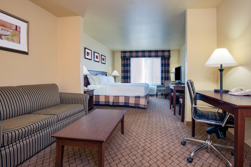 Suite, 1 King Bed, Accessible (Mobility, Accessible Tub) - Photo 1