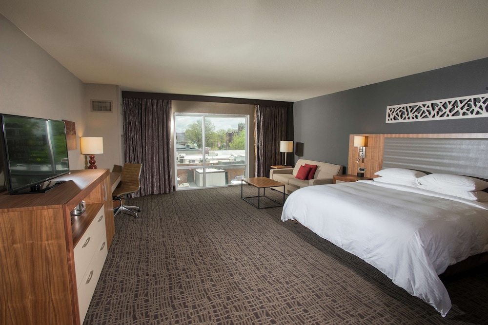 Room, 1 King Bed, Accessible - Photo 2