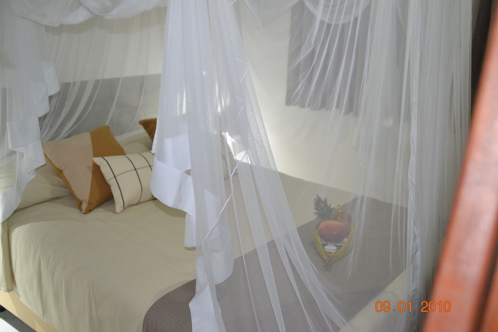 Superior Bungalow - Photo 1
