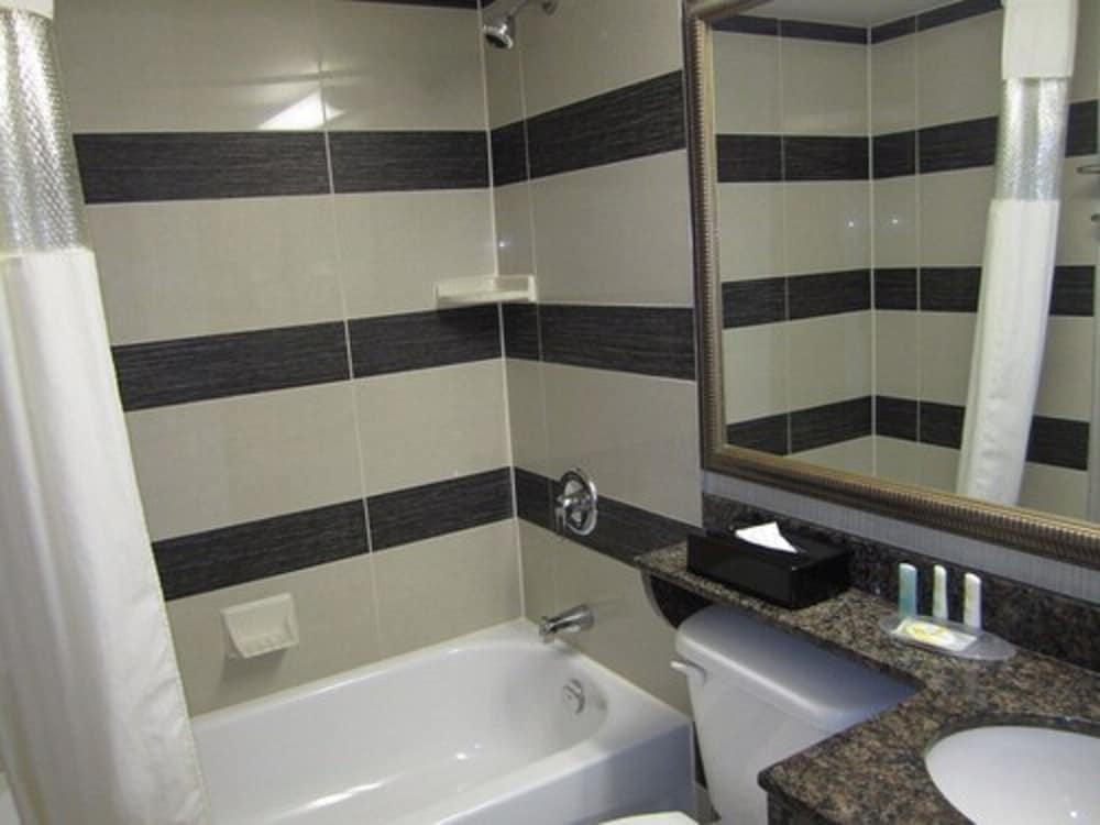 Suite, 1 King Bed with Sofa bed - Photo 10