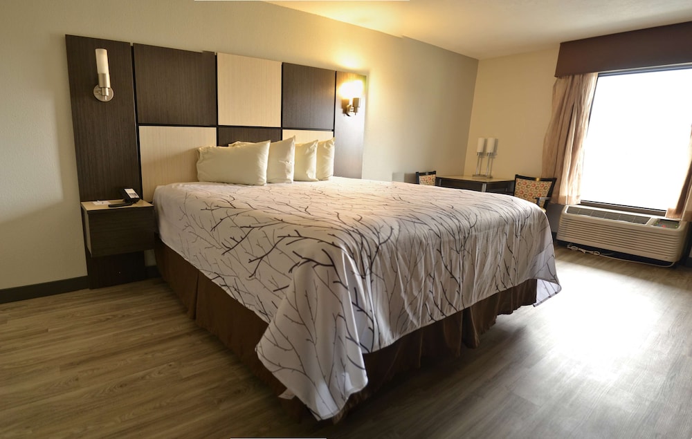 Standard Room, 1 King Bed, Accessible, Bathtub photo 3