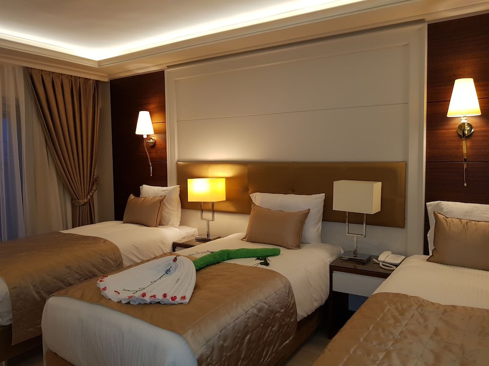 Deluxe Triple Room, Multiple Beds, Non Smoking photo 2