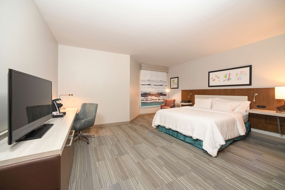 Room, 1 King Bed, Accessible (3x3 Shower) photo 3