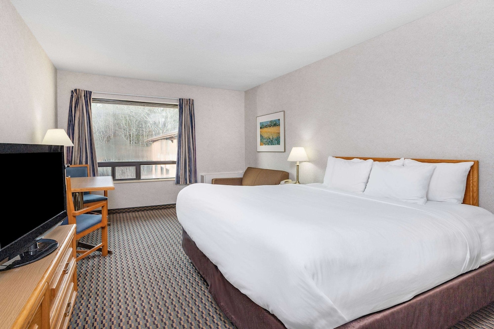 Room, 1 King Bed, Non Smoking - Photo 1