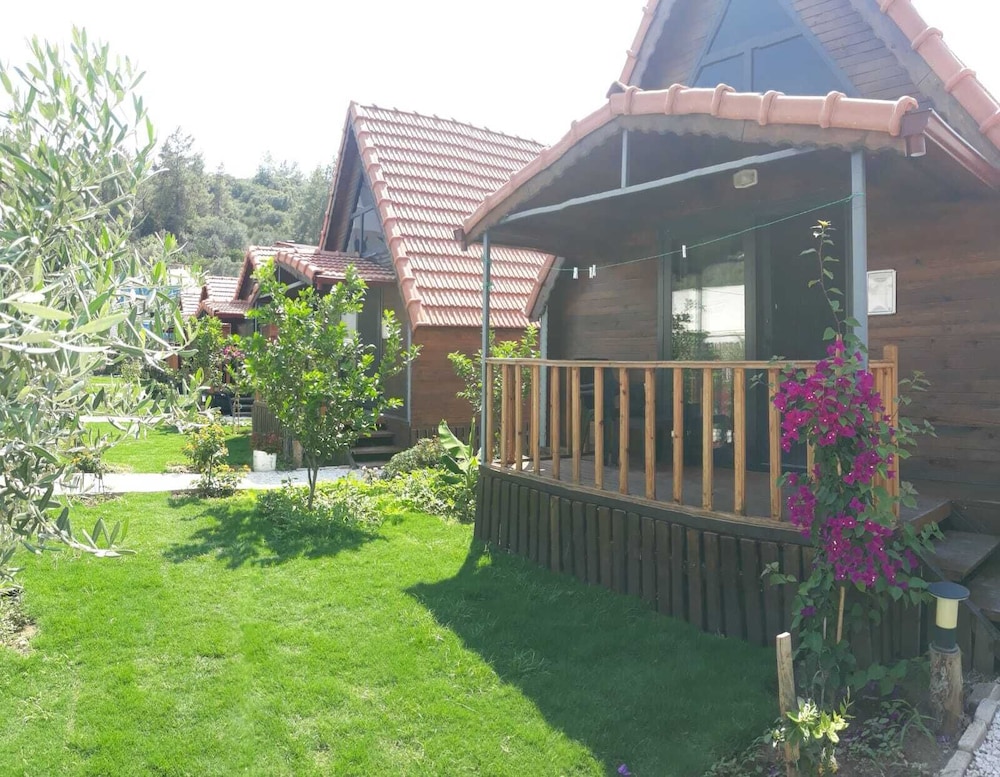 Comfort Bungalow photo 3