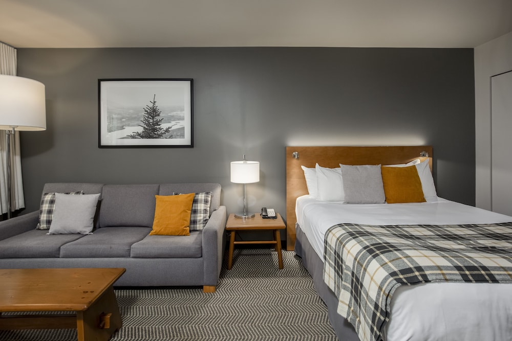 Hotel Room - Photo 6