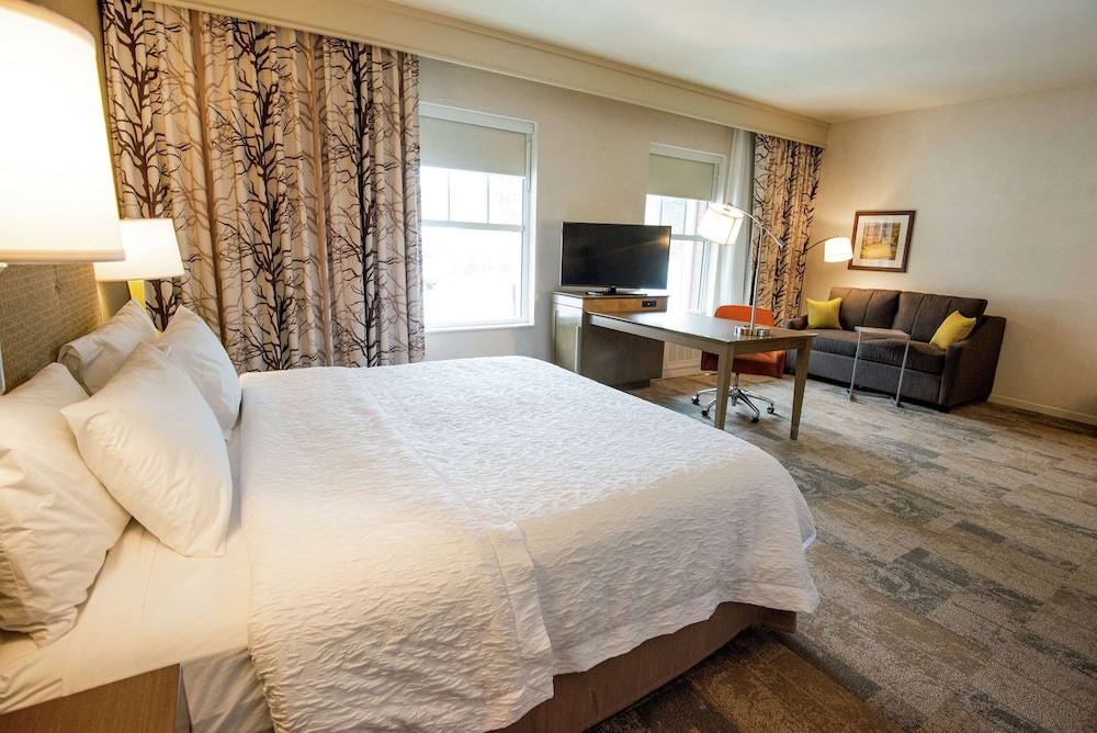 Studio, 1 King Bed, Accessible, Bathtub (Mobility & Hearing) photo 2