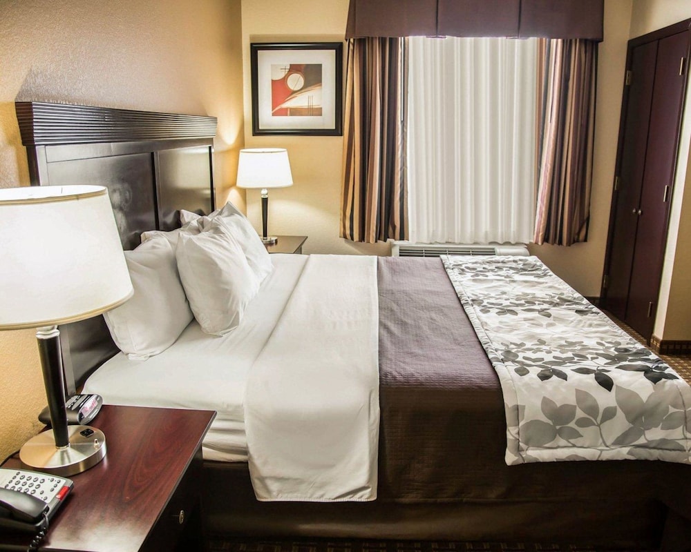 Suite, 1 King Bed with Sofa bed photo 2