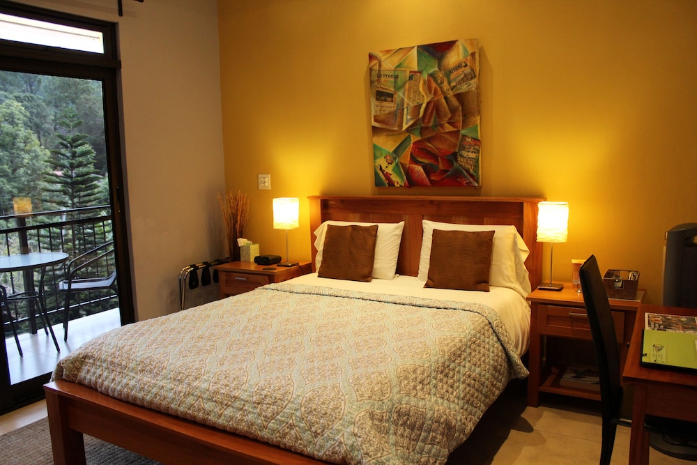 Room, 1 Queen Bed, Mountain View (Mola) photo 2