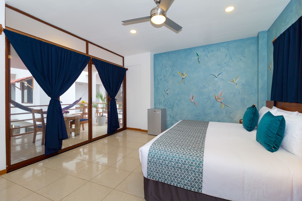 Superior Single Room