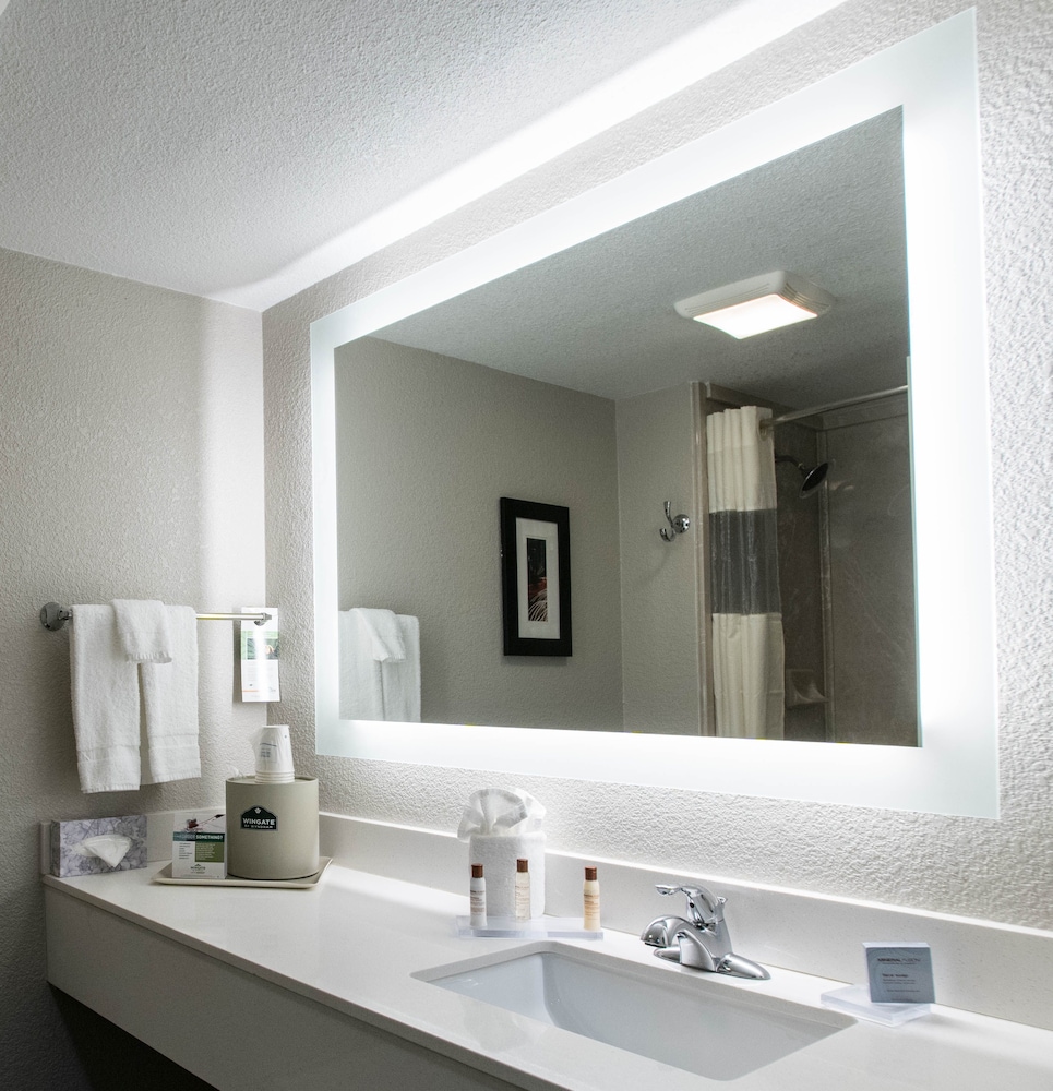 Studio Suite, 1 King Bed, Non Smoking, Jetted Tub - Photo 4