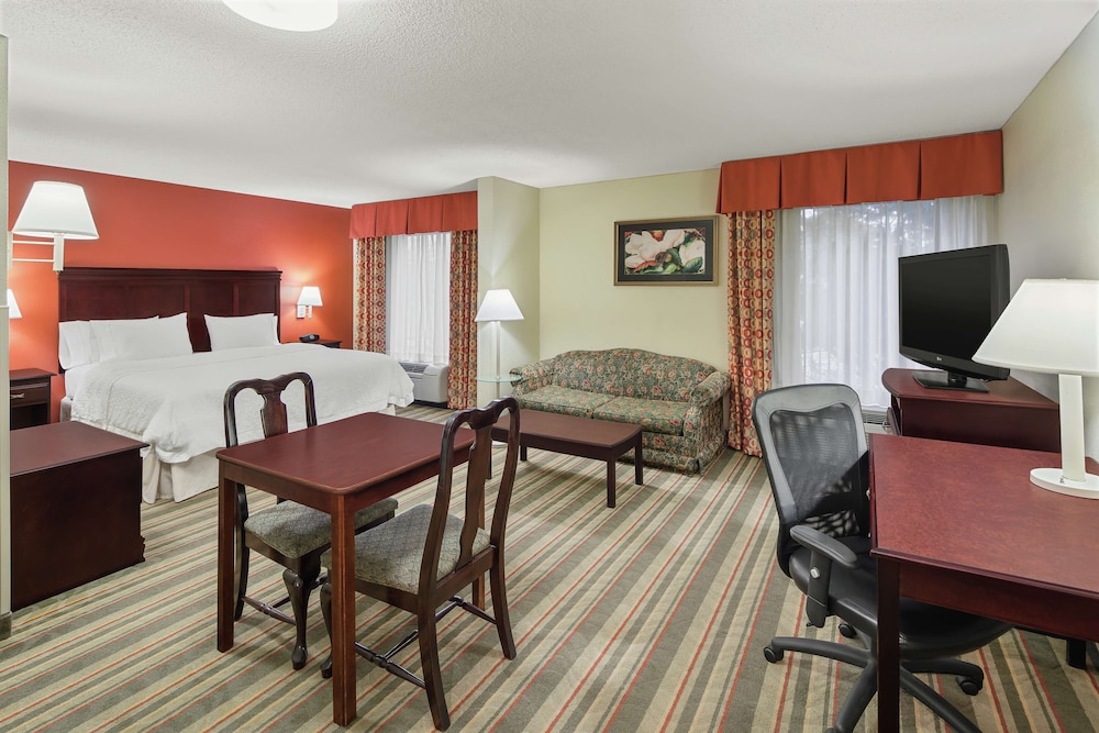 Deluxe Studio Suite, 1 King Bed with Sofa bed, Non Smoking, Kitchenette